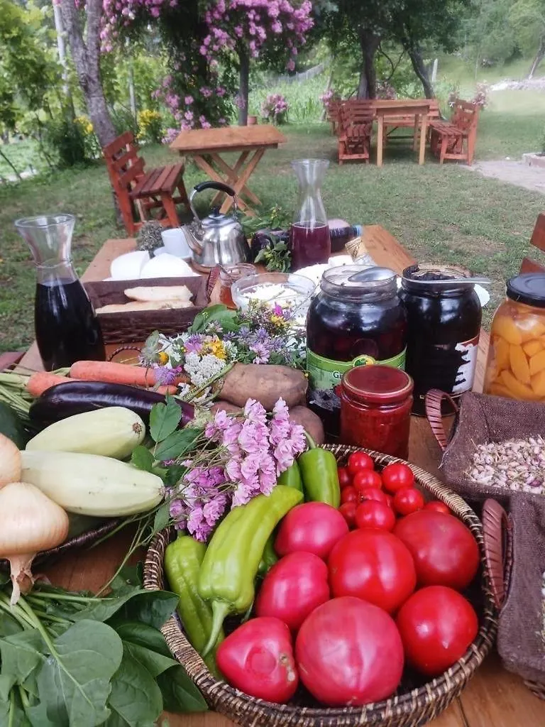 Hotel Bujtina Shkambi Theth Gasthof