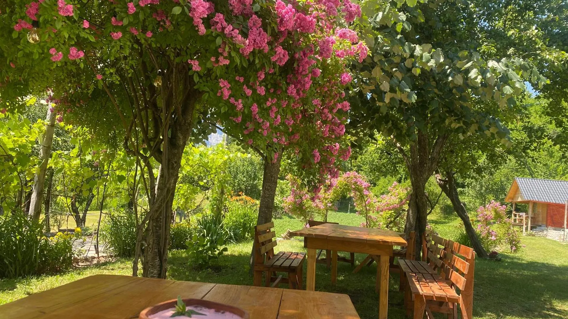 Hotel Bujtina Shkambi Theth 0*,  Albanien