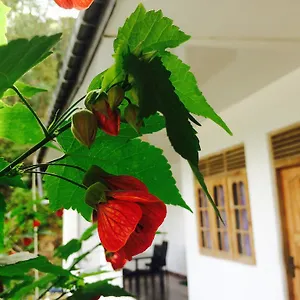  Pensión View Guest Sri Lanka